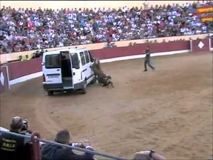 Circo autóctono en plaza de toros de España - Spain's autochthonous circus in the plaza of toros