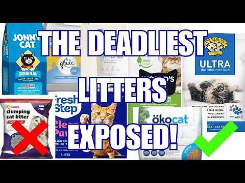 DON’T Use These 8 Cat Litters (And 4 That Are Actually Safe)