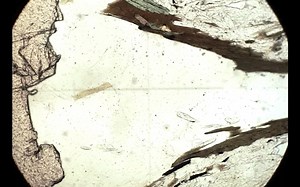 Optical Mineralogy Quartz Tutorial