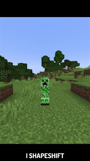 Minecraft: Transforming Every 30 Seconds Challenge