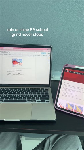 Snowed In: The Study Grind for PA School Students