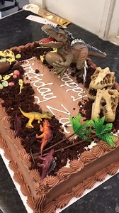 Our Dinosaur Eggs make this Jurassic birthday cake complete. Good work @squashedpickle! 秊 #DinoCakes #FruityJurassic #Snackosaur #PrehistoricSweets #FruitBowlDinoDelights #JurassicCakeCreations #FruitFiestaWithDinosaurs #DinoPartyTreats #FruitBowlDinoSnacks | Fruit Bowl | Facebook