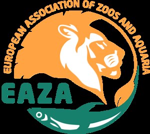 Air Transport for Zoo Animals, Exotics & Livestock - InstoneAir