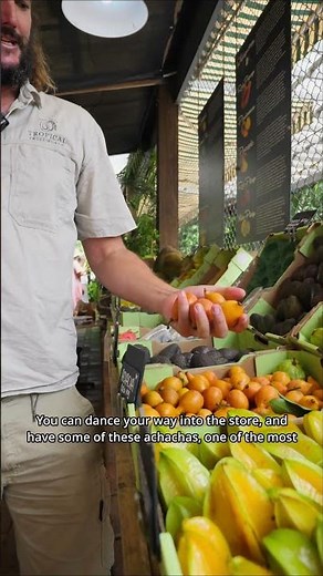 Fruit Frenzy