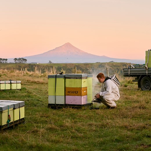 The Manuka Honey Makers | Egmont Honey NZ