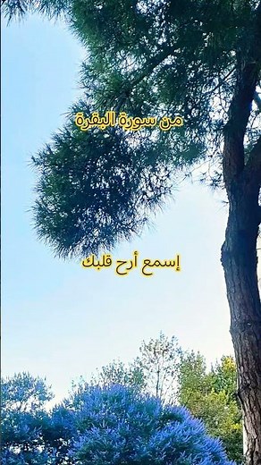 من سورة البقرة كاملة #صلي_علي_النبي #احمد_العجمي