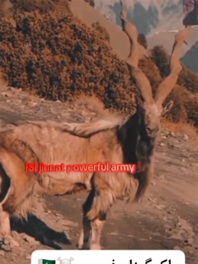 The Power of ISI in Pakistan