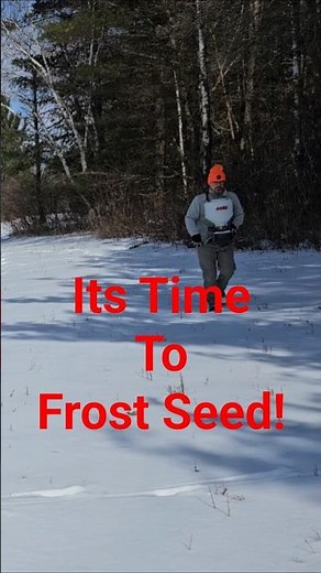 ​1 Acre, 2 Seeds, Huge Results | It's Time to Frost Seed