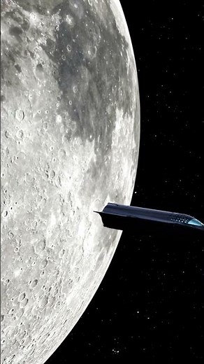 Starship dearMoon