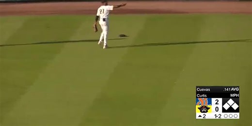 WATCH: Turtle delay? Turtle brings Marauders game to a halt