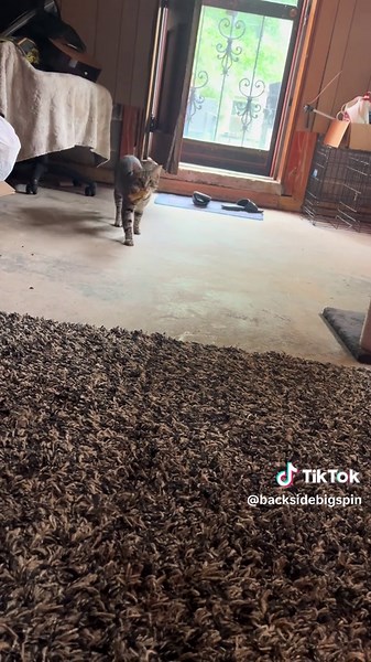 I though fetch was a dog skill tree perk