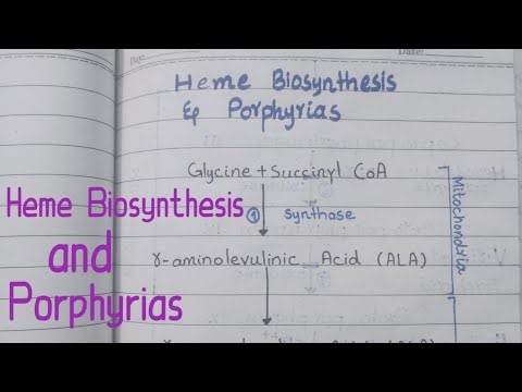 Heme Biosynthesis & Porphyrias #porphyria #hemesynthesis
