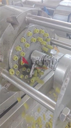 Mung bean flour macaroni test run. +86 13256674591#pasta #pastamachine #macaroni