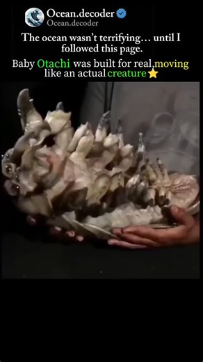 Ocean on Instagram: "Japan is turning footsteps into electricity! Using piezoelectric technology, Japan is proving that even a simple walk can power the future. At Tokyo's Shibuya Station, over 2.4 million daily commuters generate energy to light up LED displays and ticket gates! How it works: Each step creates mechanical pressure Special tiles convert it into electric power New systems can generate up to 30 watts per step! This innovation shows how human movement= renewable energy - a brilliant