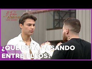 Peluche's attitude makes Gastón uncomfortable! | The Power of Love 2