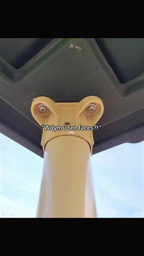 #pareidolia #fyp #viral #fypシ | Pareidolia