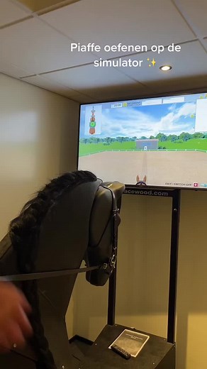 Piaffe oefenen ✨ #fy #foryou #dressagesimulator #dressage #paardensimulator #houdingenzit #practicemakesperfect #thingsthatjustmakesense