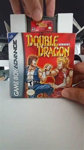 Double Dragon Advance - Classic Beat 'em up