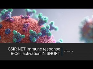 CSIR NET Immune response B-Cell activation IN SHORT