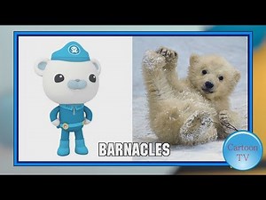 The Octonauts Characters In Real Life 2018