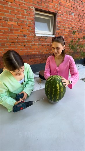 1.7M views · 7.4K reactions | Watermelon summer cocktail, try it  | 5-Minute Crafts | Facebook