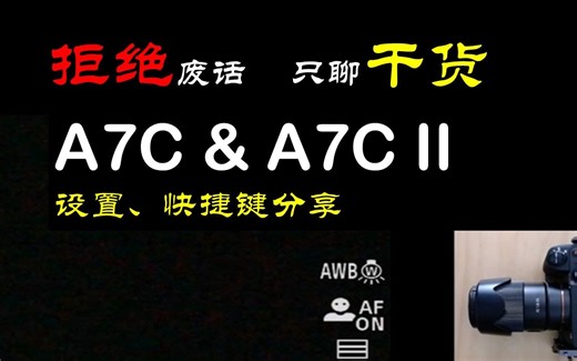 a7c2 & a7c 设置、快捷键分享，建议1.5x品尝