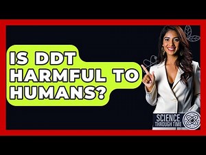 Is DDT Harmful To Humans? - Science Through Time