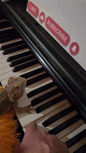 Falcor Won’t Learn Piano and It’s Ruining My Chance to get Rich