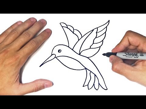 Cómo dibujar un Colibri Paso a Paso | Dibujo de Colibri