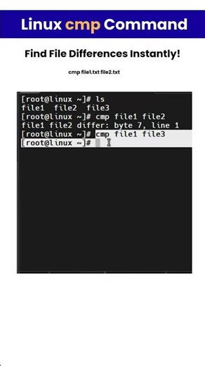 Linux cmp command: Stop Comparing Files Manually! #Linux #Shorts