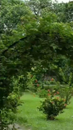 🌿🌼 DAFFODIL INTERNATIONAL UNIVERSITY CAMPUS TOUR 🌼🌿 | Beautiful Campus View #all #love #automobile