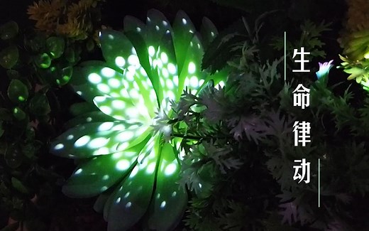 【Processing Arduino】生命律动丨实体投影交互装置