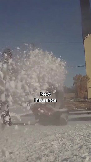 Affordable Business Insurance from Next Insurance