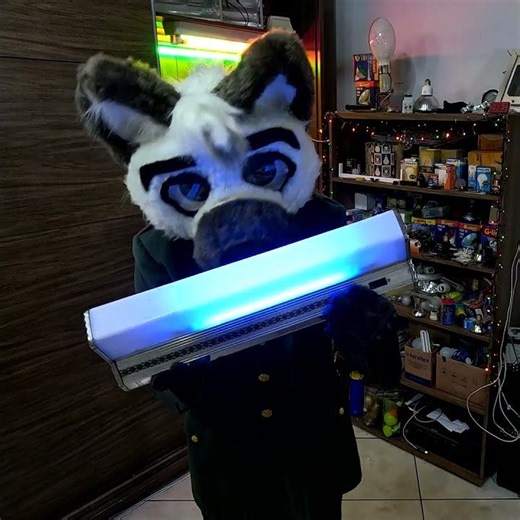 Blue Fluorescent Light Bulb in Bathroom Fixture (Review by a Wolf)