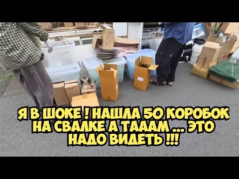 ОЙБААЙ ! Нашла 50 коробoк на свалке . А ТаАаМ ...Это надо видеть !Не мусорка а антикварный магазин