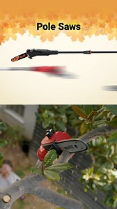 From chainsaws to leaf blowers, chippers, and more, Harbor Freight is your destination to get fall cleanup done for less. | Harbor Freight