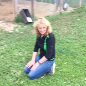 So bad that donkeys have been mistreated for centuries, these lovely creatures deserve our greatest affection💕 ViralHog | MetDaan Animals