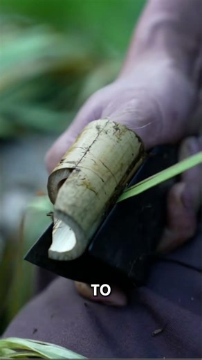 How to Make Rope from Natural Plant Fibers