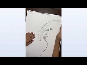 How to draw a eagle I Animal drawing I easy animal drawing I eagle drawing I pencil drawing