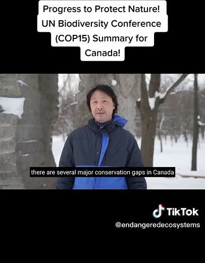 An summary by the Endangered Ecosystems Alliance's Ken Wu of new policy and funding commitments by governments in Canada to expand the protection of nature announced during the UN Biodiversity Conference (COP15) from Dec 7th to 19th, 2022 in Montreal - and what key conservation gaps still remain. #COP15 #30by2030 #natureneedshalf #endangeredecosystemsalliance #oldgrowth #oldgrowthlogging #oldgrowthforest #grasslands #climatechange #grasslands #endangeredspecies