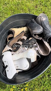 5.1K views · 98 reactions | ✨ No dedicated horse-gear ‘old’ washing...