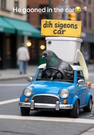 Yes sar cex 2#sigeonpex #fyp #viral