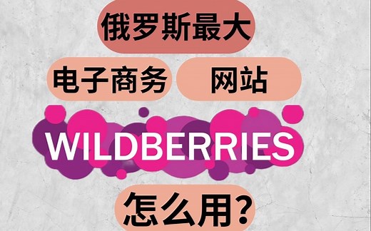 俄罗斯最大电子商务网站 Wildberries 怎么用？