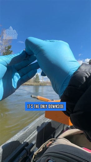 The Cheapest Cold Weather Fishing Hack Ever ❄️
