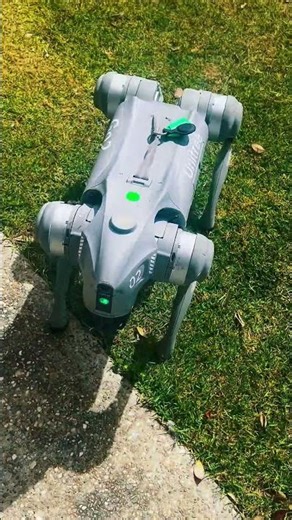 What's the REAL Reason This ROBOT Dog is Following You Home