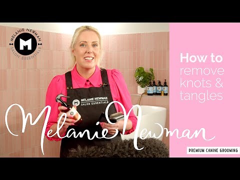 How to brush Knots and Tangles from your dogs hair