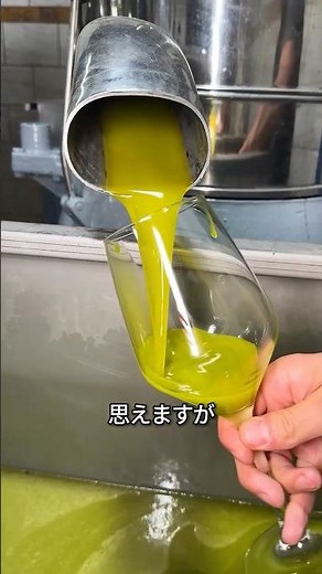 オリーブオイルの作り方