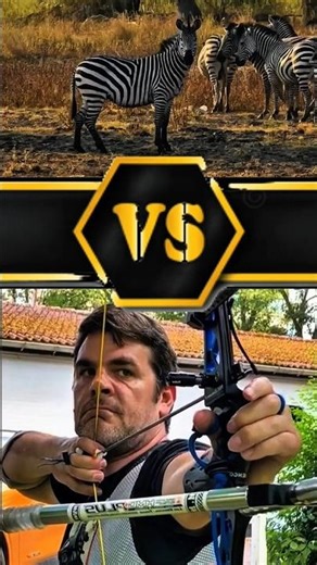 Zebra Archery Bow – Handmade Traditional Bow with Bold Zebra Design