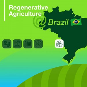 [Video] Bayer | Crop Science on LinkedIn: Regenerative Agriculture in Brazil