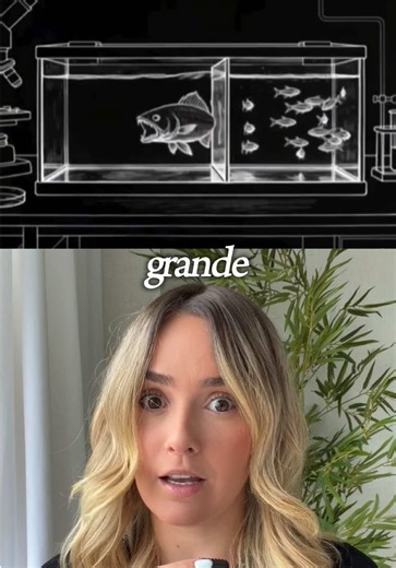 Indefensión aprendida: cómo superar la creencia de que nada cambiará